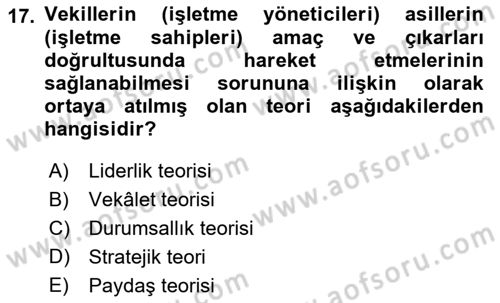 Stratejik Yönetim 2 Dersi 2018 - 2019 Yılı Yaz Okulu Sınav Soruları 17. Soru