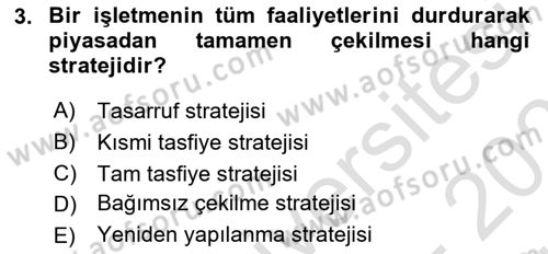 Stratejik Yönetim 2 Dersi 2024 - 2025 Yılı (Vize) Ara Sınav Soruları 3. Soru