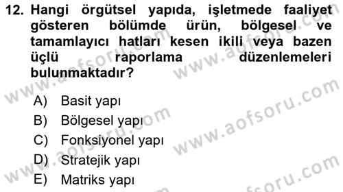 Stratejik Yönetim 2 Dersi 2024 - 2025 Yılı Yaz Okulu Sınav Soruları 12. Soru