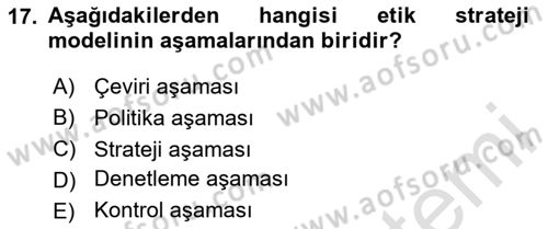 Stratejik Yönetim 2 Dersi 2024 - 2025 Yılı Yaz Okulu Sınav Soruları 17. Soru