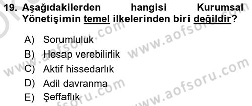 Stratejik Yönetim 2 Dersi 2024 - 2025 Yılı Yaz Okulu Sınav Soruları 19. Soru
