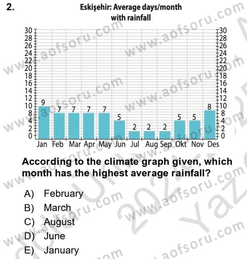 Statistics 1 Dersi 2024 - 2025 Yılı Yaz Okulu Sınav Soruları 2. Soru