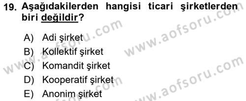 Proje Analizi ve Değerlendirme Dersi 2016 - 2017 Yılı (Vize) Ara Sınav Soruları 19. Soru