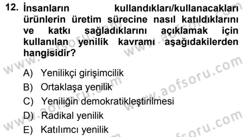 Yenilik Yönetimi Dersi Ara Sınavı Deneme Sınav Soruları 12. Soru