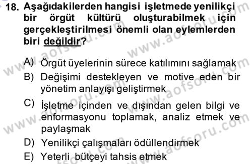 Yenilik Yönetimi Dersi Ara Sınavı Deneme Sınav Soruları 18. Soru