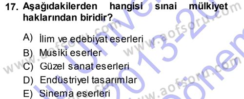 Yenilik Yönetimi Dersi 2013 - 2014 Yılı (Final) Dönem Sonu Sınav Soruları 17. Soru
