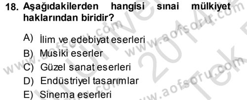 Yenilik Yönetimi Dersi 2014 - 2015 Yılı Tek Ders Sınav Soruları 18. Soru