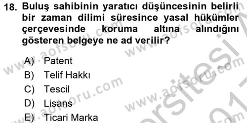 Yenilik Yönetimi Dersi 2016 - 2017 Yılı 3 Ders Sınav Soruları 18. Soru
