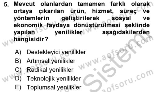 Yenilik Yönetimi Dersi 2016 - 2017 Yılı 3 Ders Sınav Soruları 5. Soru