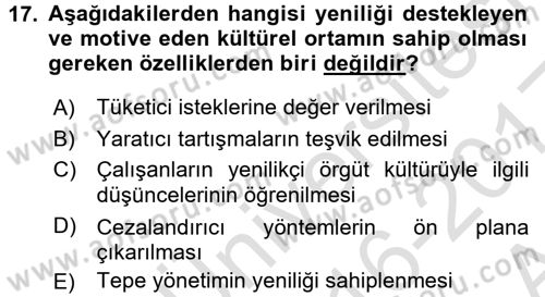 Yenilik Yönetimi Dersi Ara Sınavı Deneme Sınav Soruları 17. Soru