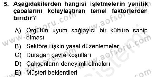 Yenilik Yönetimi Dersi 2016 - 2017 Yılı (Final) Dönem Sonu Sınav Soruları 5. Soru