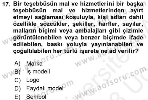 Yenilik Yönetimi Dersi 2017 - 2018 Yılı 3 Ders Sınav Soruları 17. Soru