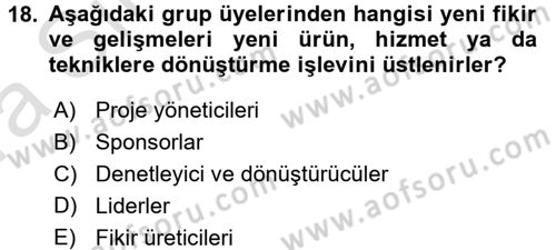 Yenilik Yönetimi Dersi Ara Sınavı Deneme Sınav Soruları 18. Soru