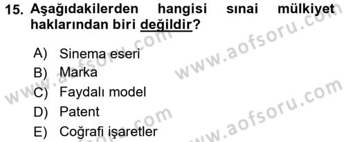 Yenilik Yönetimi Dersi 2017 - 2018 Yılı (Final) Dönem Sonu Sınav Soruları 15. Soru