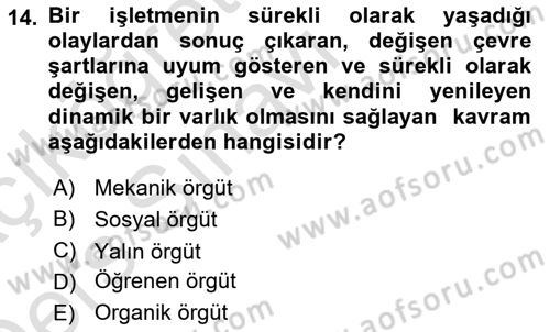Yenilik Yönetimi Dersi 2018 - 2019 Yılı 3 Ders Sınav Soruları 14. Soru