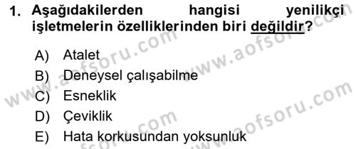 Yenilik Yönetimi Dersi Ara Sınavı Deneme Sınav Soruları 1. Soru