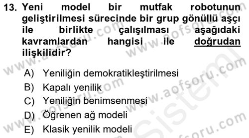 Yenilik Yönetimi Dersi 2018 - 2019 Yılı (Vize) Ara Sınav Soruları 13. Soru