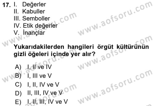 Yenilik Yönetimi Dersi Ara Sınavı Deneme Sınav Soruları 17. Soru