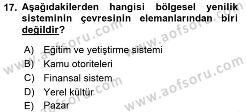 Yenilik Yönetimi Dersi 2018 - 2019 Yılı (Final) Dönem Sonu Sınav Soruları 17. Soru