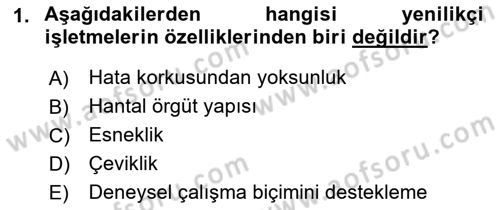 Yenilik Yönetimi Dersi Ara Sınavı Deneme Sınav Soruları 1. Soru