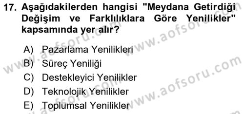 Yenilik Yönetimi Dersi Ara Sınavı Deneme Sınav Soruları 17. Soru