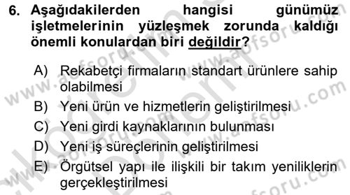 Yenilik Yönetimi Dersi Ara Sınavı Deneme Sınav Soruları 6. Soru
