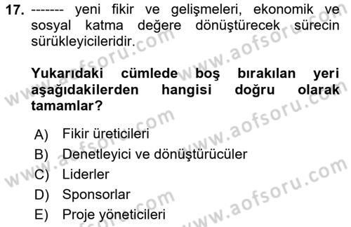 Yenilik Yönetimi Dersi Ara Sınavı Deneme Sınav Soruları 17. Soru