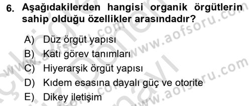 Yenilik Yönetimi Dersi 2023 - 2024 Yılı (Final) Dönem Sonu Sınav Soruları 6. Soru