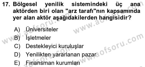Yenilik Yönetimi Dersi 2023 - 2024 Yılı Yaz Okulu Sınav Soruları 17. Soru