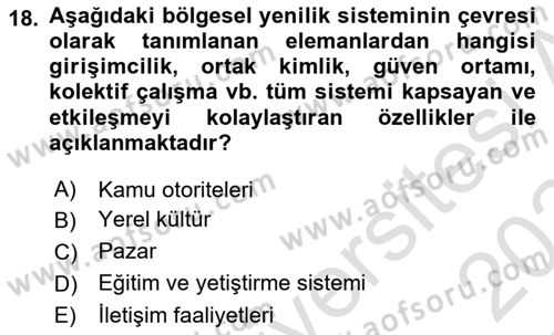 Yenilik Yönetimi Dersi 2023 - 2024 Yılı Yaz Okulu Sınav Soruları 18. Soru
