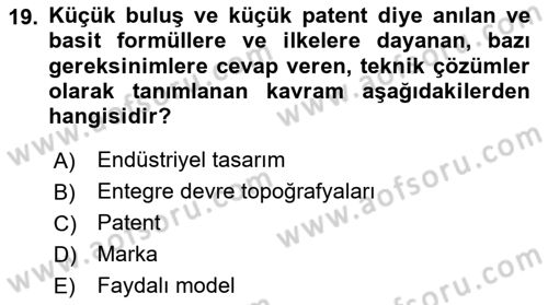 Yenilik Yönetimi Dersi 2023 - 2024 Yılı Yaz Okulu Sınav Soruları 19. Soru