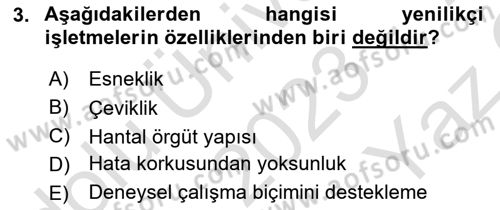 Yenilik Yönetimi Dersi 2023 - 2024 Yılı Yaz Okulu Sınav Soruları 3. Soru