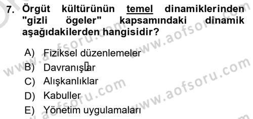 Yenilik Yönetimi Dersi 2023 - 2024 Yılı Yaz Okulu Sınav Soruları 7. Soru
