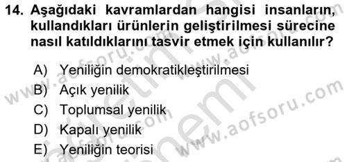 Yenilik Yönetimi Dersi Ara Sınavı Deneme Sınav Soruları 14. Soru
