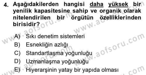 Yenilik Yönetimi Dersi 2024 - 2025 Yılı (Vize) Ara Sınav Soruları 4. Soru