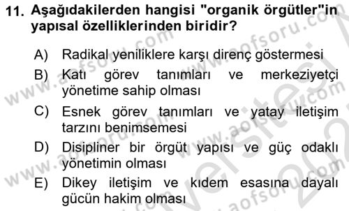Yenilik Yönetimi Dersi 2024 - 2025 Yılı (Final) Dönem Sonu Sınav Soruları 11. Soru