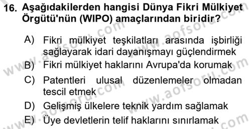 Yenilik Yönetimi Dersi 2024 - 2025 Yılı (Final) Dönem Sonu Sınav Soruları 16. Soru