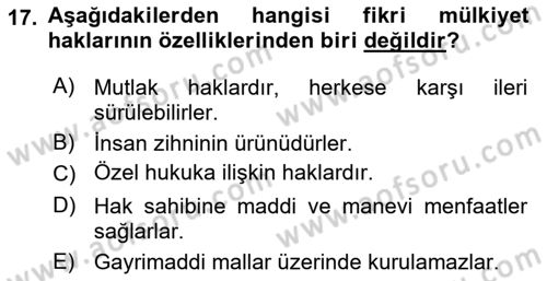 Yenilik Yönetimi Dersi 2024 - 2025 Yılı (Final) Dönem Sonu Sınav Soruları 17. Soru