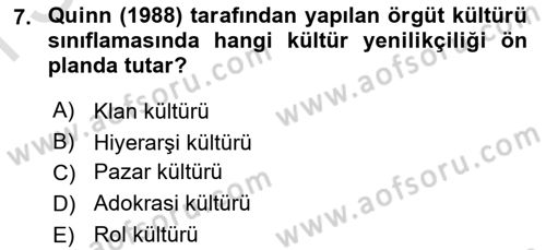 Yenilik Yönetimi Dersi 2024 - 2025 Yılı (Final) Dönem Sonu Sınav Soruları 7. Soru