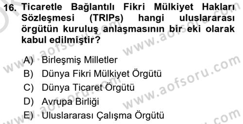 Yenilik Yönetimi Dersi 2024 - 2025 Yılı Yaz Okulu Sınav Soruları 16. Soru