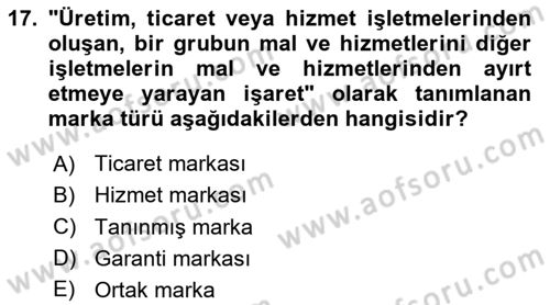 Yenilik Yönetimi Dersi 2024 - 2025 Yılı Yaz Okulu Sınav Soruları 17. Soru