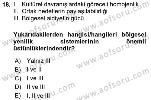 Yenilik Yönetimi Dersi 2024 - 2025 Yılı Yaz Okulu Sınav Soruları 18. Soru