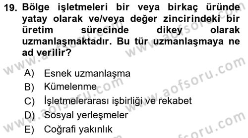 Yenilik Yönetimi Dersi 2024 - 2025 Yılı Yaz Okulu Sınav Soruları 19. Soru