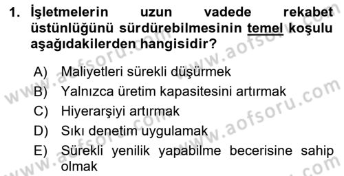 Yenilik Yönetimi Dersi 2025 - 2026 Yılı (Vize) Ara Sınav Soruları 1. Soru