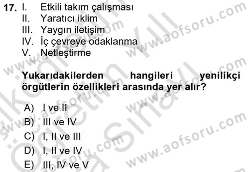 Yenilik Yönetimi Dersi 2025 - 2026 Yılı (Vize) Ara Sınav Soruları 17. Soru