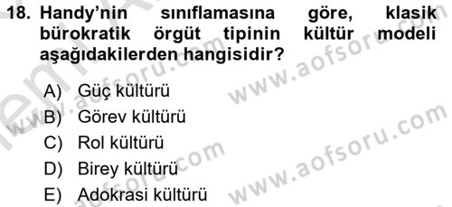 Yenilik Yönetimi Dersi 2025 - 2026 Yılı (Vize) Ara Sınav Soruları 18. Soru