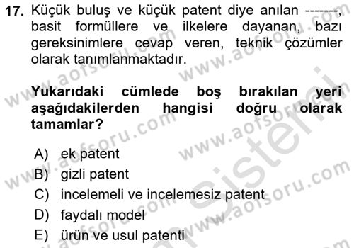 Yenilik Yönetimi Dersi 2025 - 2026 Yılı (Final) Dönem Sonu Sınav Soruları 17. Soru