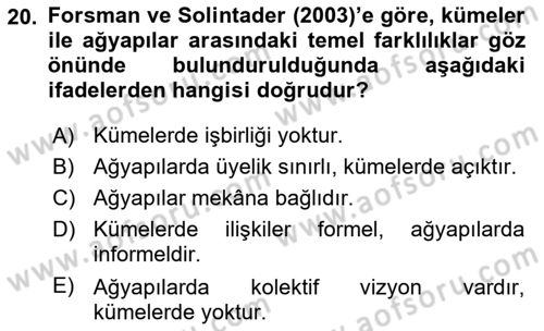 Yenilik Yönetimi Dersi 2025 - 2026 Yılı (Final) Dönem Sonu Sınav Soruları 20. Soru