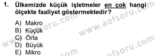 Küçük İşletme Yönetimi Dersi 2012 - 2013 Yılı (Final) Dönem Sonu Sınav Soruları 1. Soru