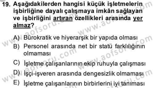 Küçük İşletme Yönetimi Dersi 2013 - 2014 Yılı (Vize) Ara Sınav Soruları 19. Soru